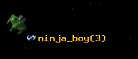 ninja_boy