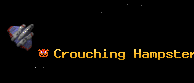 Crouching Hampster
