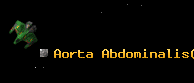 Aorta Abdominalis