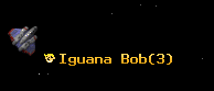 Iguana Bob