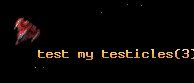test my testicles
