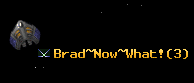 Brad~Now~What!