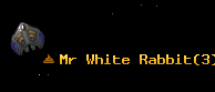Mr White Rabbit