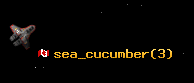 sea_cucumber