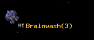 Brainwash