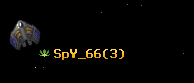 SpY_66