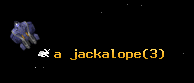 a jackalope