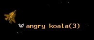 angry koala