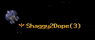 Shaggy2Dope
