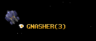 GNASHER
