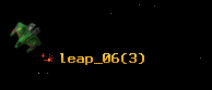 leap_06