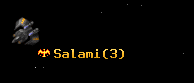 Salami