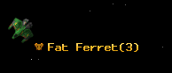 Fat Ferret