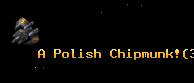 A Polish Chipmunk!