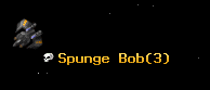 Spunge Bob