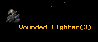 Wounded Fighter