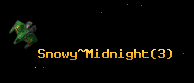 Snowy~Midnight