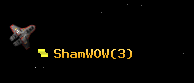 ShamWOW