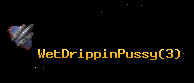 WetDrippinPussy