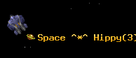 Space ^*^ Hippy