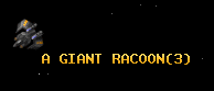 A GIANT RACOON
