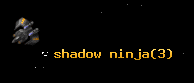 shadow ninja