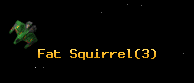 Fat Squirrel
