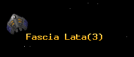 Fascia Lata