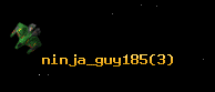ninja_guy185
