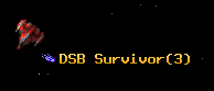 DSB Survivor