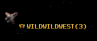 WILDWILDWEST