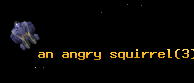 an angry squirrel