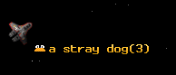 a stray dog