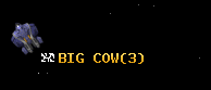 BIG COW