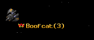 Boofcat