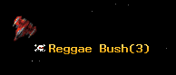 Reggae Bush