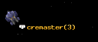 cremaster