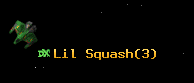 Lil Squash