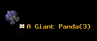 A Giant Panda