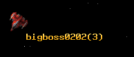 bigboss0202