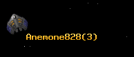 Anemone828