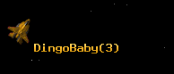 DingoBaby