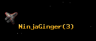 NinjaGinger