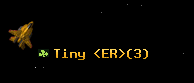 Tiny <ER>