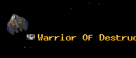 Warrior Of Destruct