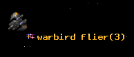 warbird flier