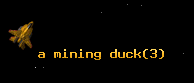 a mining duck