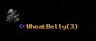 WheatBelly
