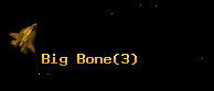 Big Bone