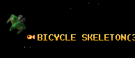 BICYCLE SKELETON